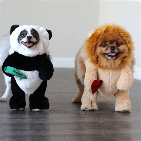 panda cat costume|panda puppy costume.